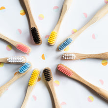 Load image into Gallery viewer, Mixed Pack - Family of 4