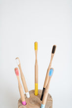 Load image into Gallery viewer, Mixed Pack - Family of 4