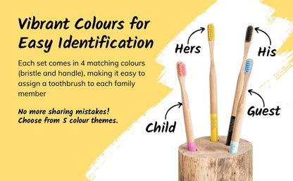 Set of four toothbrushes with colored handles and bristles, labeled for different family members, on a yellow background.