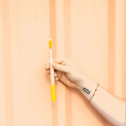 Adult Bamboo Toothbrushes